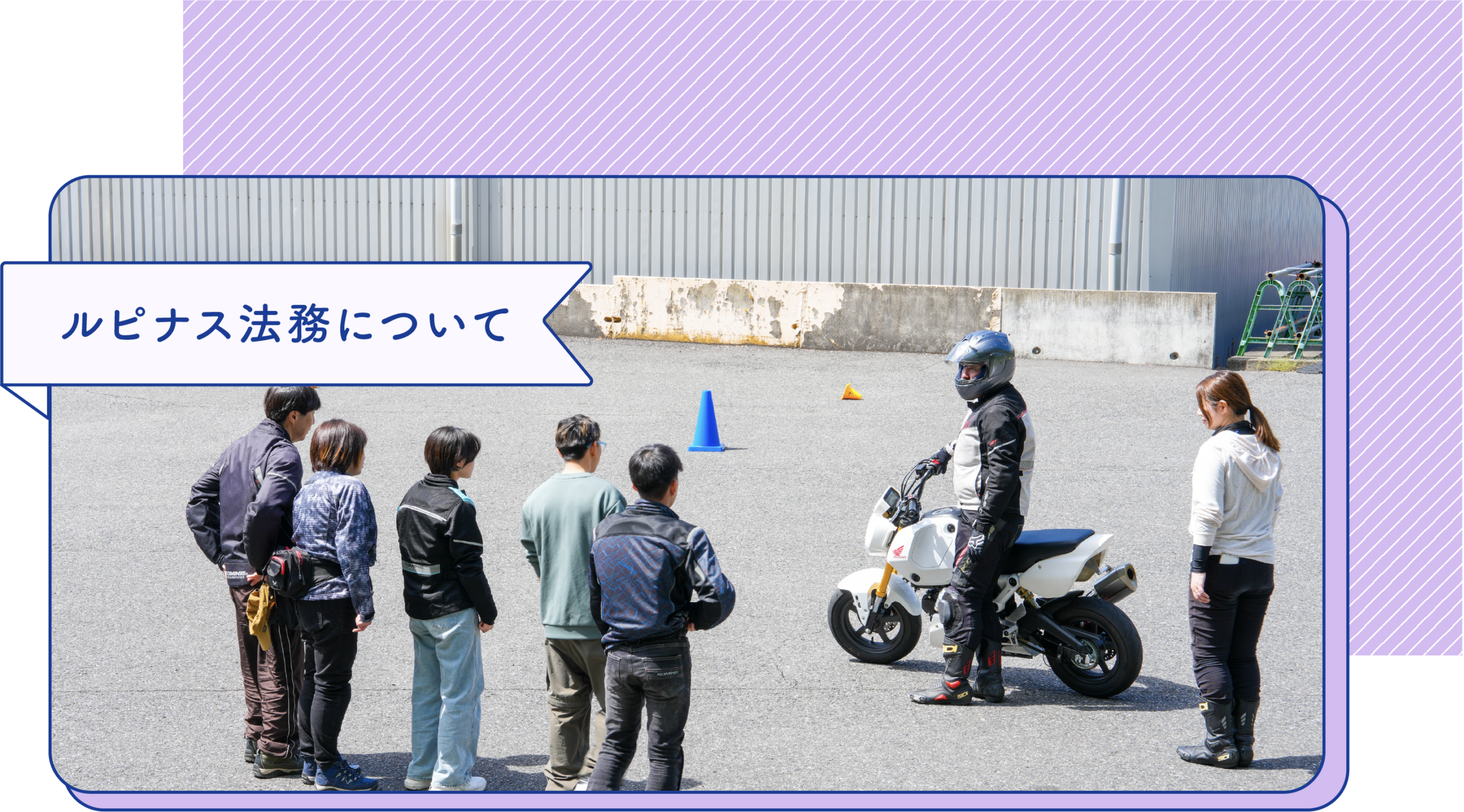 ルピナス法務について